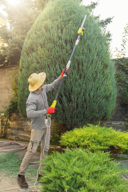 Lawn Maintenance Plans in Uvalde Estates, TX